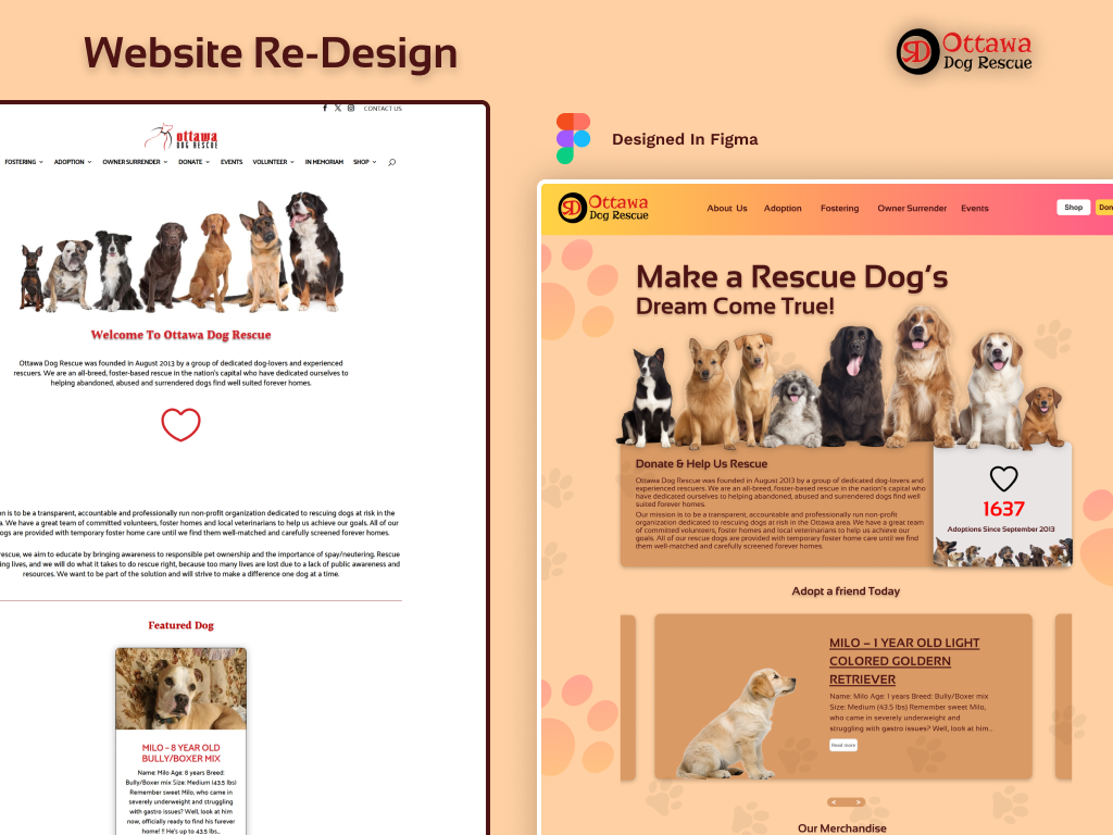 Personal portfolio theme preview